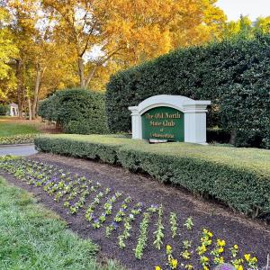 Photo #26 of 118 Candor Oaks Drive, New London, NC 0.5 acres