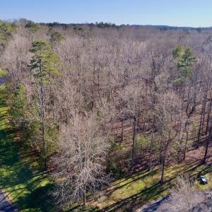 Photo #3 of 118 Candor Oaks Drive, New London, NC 0.5 acres