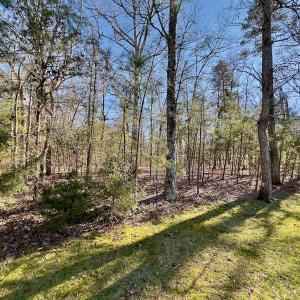 Photo #5 of 118 Candor Oaks Drive, New London, NC 0.5 acres