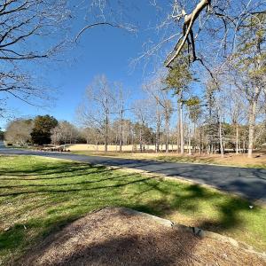 Photo #6 of 118 Candor Oaks Drive, New London, NC 0.5 acres