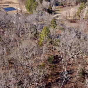Photo #9 of 118 Candor Oaks Drive, New London, NC 0.5 acres