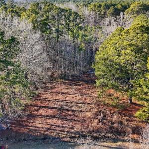 Photo #2 of SOLD property in Off Hwy 258, Rich Square , NC 0.7 acres