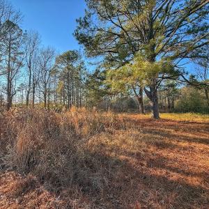 Photo #27 of SOLD property in Off Hwy 258, Rich Square , NC 0.7 acres