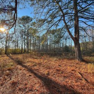 Photo #28 of SOLD property in Off Hwy 258, Rich Square , NC 0.7 acres