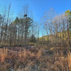 Photo #29 of SOLD property in Off Hwy 258, Rich Square , NC 0.7 acres