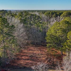 Photo #3 of SOLD property in Off Hwy 258, Rich Square , NC 0.7 acres