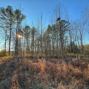Photo #30 of SOLD property in Off Hwy 258, Rich Square , NC 0.7 acres