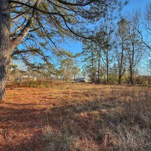 Photo #31 of SOLD property in Off Hwy 258, Rich Square , NC 0.7 acres