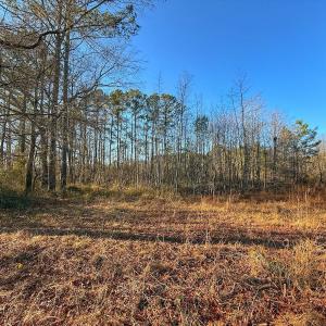 Photo #32 of SOLD property in Off Hwy 258, Rich Square , NC 0.7 acres