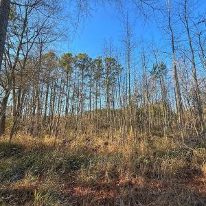 Photo #33 of SOLD property in Off Hwy 258, Rich Square , NC 0.7 acres