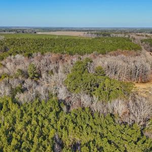 Photo #13 of 4325 Govenors Rd, Roxobel, NC 0.9 acres
