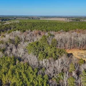 Photo #14 of 4325 Govenors Rd, Roxobel, NC 0.9 acres