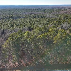 Photo #3 of 4325 Govenors Rd, Roxobel, NC 0.9 acres