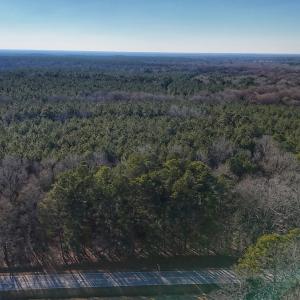 Photo #22 of 4325 Govenors Rd, Roxobel, NC 0.9 acres