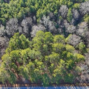 Photo #25 of 4325 Govenors Rd, Roxobel, NC 0.9 acres