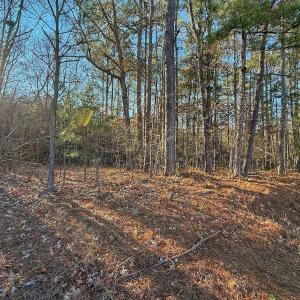 Photo #27 of 4325 Govenors Rd, Roxobel, NC 0.9 acres
