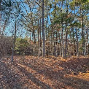 Photo #29 of 4325 Govenors Rd, Roxobel, NC 0.9 acres