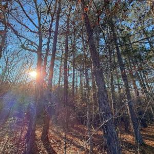 Photo #30 of 4325 Govenors Rd, Roxobel, NC 0.9 acres