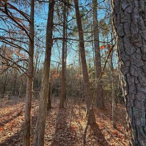 Photo #31 of 4325 Govenors Rd, Roxobel, NC 0.9 acres