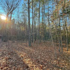 Photo #32 of 4325 Govenors Rd, Roxobel, NC 0.9 acres