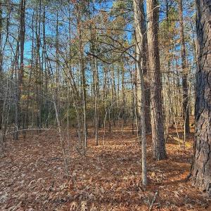 Photo #33 of 4325 Govenors Rd, Roxobel, NC 0.9 acres