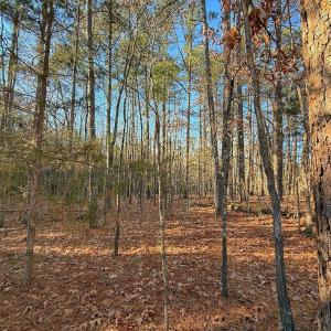 Photo #34 of 4325 Govenors Rd, Roxobel, NC 0.9 acres