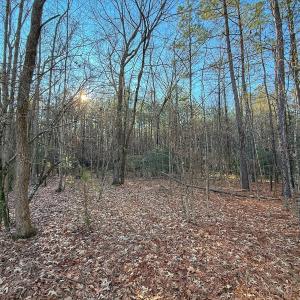 Photo #35 of 4325 Govenors Rd, Roxobel, NC 0.9 acres
