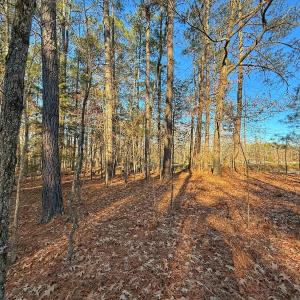 Photo #36 of 4325 Govenors Rd, Roxobel, NC 0.9 acres