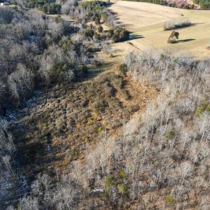 Photo #14 of SOLD property in Off Hairfield Lane, Axton, VA 73.3 acres