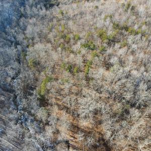 Photo #15 of SOLD property in Off Hairfield Lane, Axton, VA 73.3 acres