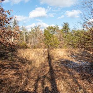 Photo #17 of SOLD property in Off Hairfield Lane, Axton, VA 73.3 acres