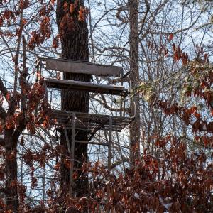 Photo #18 of SOLD property in Off Hairfield Lane, Axton, VA 73.3 acres