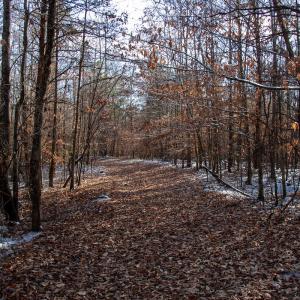 Photo #19 of SOLD property in Off Hairfield Lane, Axton, VA 73.3 acres