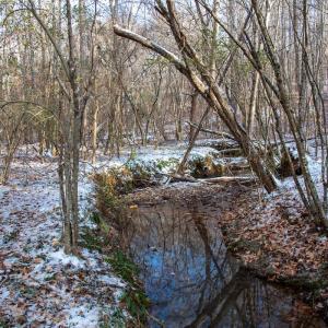 Photo #20 of SOLD property in Off Hairfield Lane, Axton, VA 73.3 acres