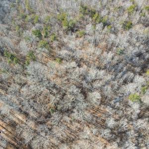 Photo #21 of SOLD property in Off Hairfield Lane, Axton, VA 73.3 acres