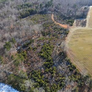 Photo #23 of SOLD property in Off Hairfield Lane, Axton, VA 73.3 acres