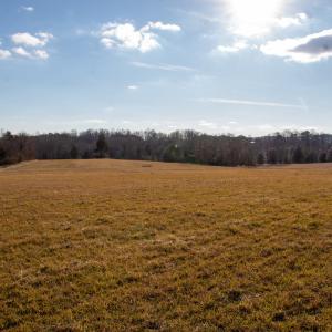 Photo #25 of SOLD property in Off Hairfield Lane, Axton, VA 73.3 acres
