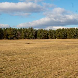Photo #29 of SOLD property in Off Hairfield Lane, Axton, VA 73.3 acres