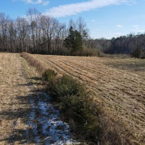 Photo #31 of SOLD property in Off Hairfield Lane, Axton, VA 73.3 acres