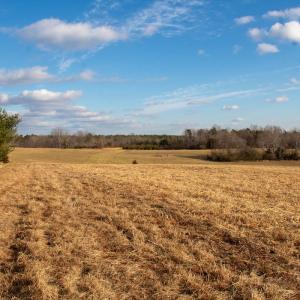 Photo #34 of SOLD property in Off Hairfield Lane, Axton, VA 73.3 acres