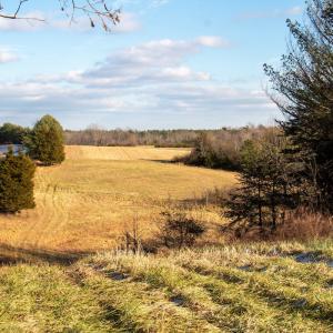 Photo #39 of SOLD property in Off Hairfield Lane, Axton, VA 73.3 acres