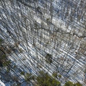 Photo #10 of Off Kemp Ford Rd., Union Hall, VA 7.1 acres