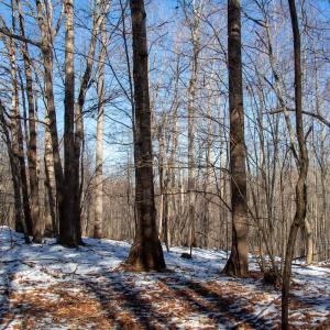 Photo #13 of Off Kemp Ford Rd., Union Hall, VA 7.1 acres