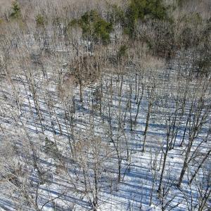 Photo #24 of Off Kemp Ford Rd., Union Hall, VA 7.1 acres