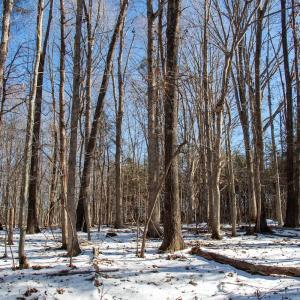 Photo #26 of Off Kemp Ford Rd., Union Hall, VA 7.1 acres