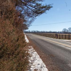 Photo #4 of Off Kemp Ford Rd., Union Hall, VA 7.1 acres