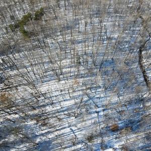 Photo #8 of Off Kemp Ford Rd., Union Hall, VA 7.1 acres