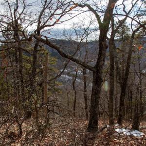 Photo #11 of Off Round Mountain Rd , Stuart, VA 5.7 acres