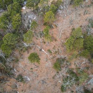Photo #14 of Off Round Mountain Rd , Stuart, VA 5.7 acres