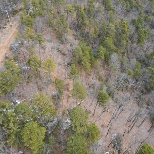 Photo #16 of Off Round Mountain Rd , Stuart, VA 5.7 acres